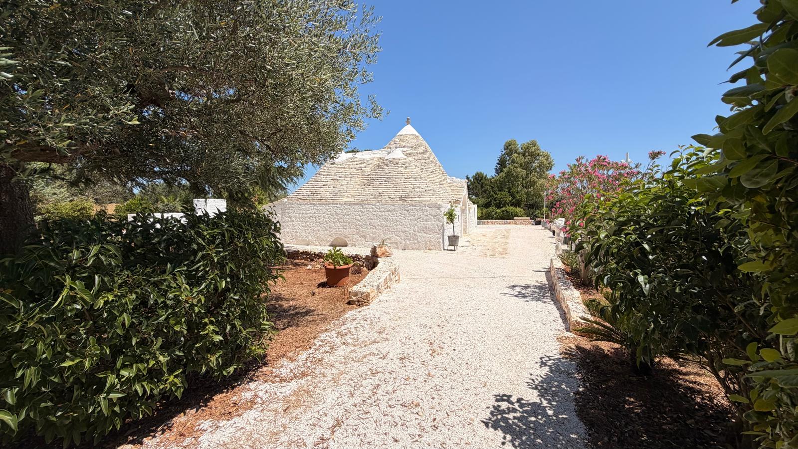 Trulli Comunicanti, Restaurati con Antico Camino, Ulivi Secolari.